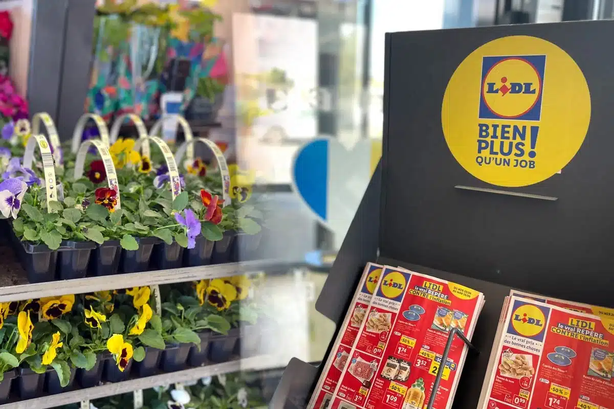 Lidl : découvrez les offres exceptionnelles de cette semaine sur les plantes pour embellir votre intérieur et votre jardin !